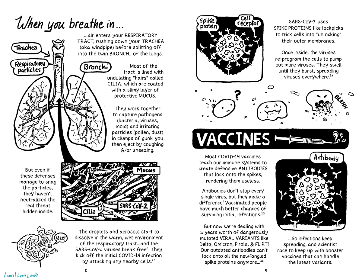 L: In large, stylized handwriting it says “When you breathe in…” above a drawing of the respiratory system. Smaller text continues next to the drawing “......air enters your RESPIRATORY TRACT, rushing down your TRACHEA (aka windpipe) before splitting off into the twin BRONCHI of the lungs.” On the drawing itself you can see this happening, with an arrow pointing to the tube that leads to the lungs labeled “trachea” and another arrow pointing at little dots traveling through it labeled “respiratory particles”. Below, it shows the lungs as hollow and filled with branch-like shapes, with the label “bronchi” pointing at the base of the branching shape.The text continues next to the drawing “Most of the tract is lined with undulating “hairs” called CILIA, which are coated with a slimy layer of protective MUCUS. They work together to capture pathogens (bacteria, viruses, mold) and irritating particles (pollen, dust) in clumps of gunk you then eject by coughing &/or sneezing.” A detailed panel shows a mess of long pointy shapes moving around each other like a coral reef. A label calls those long shapes “cilia” and thin squiggling lines that coalesce around them it labels “mucus”. Tiny dots of white that float around and collect around the mucus are labeled “SARS-COV-2”. Text beside the panel continues “But even if these defenses manage to snag the particles, they haven’t neutralized the real threat hidden inside.” And then, beside a drawing of an orb breaking apart and little particles flying out it says “The droplets and aerosols start to dissolve in the warm, wet environment of the respiractory tract...and the SARS-CoV-2 viruses break free! They kick off the initial COVID-19 infection by attacking any nearby cells.23”. A little SARS-COV-2 particle in the drawing says “wee!” R: Text reads “SARS-CoV-2 uses SPIKE PROTEINS like lockpicks to trick cells into “unlocking” their outer membranes.” A drawing beside it illustrates it with a ball covered with irregular knobby outcroppings it labels “spike proteins”. The ball seems to be rolling over an indistinct surface and connecting with little Y shaped outcroppings that are labeled “cell receptor”. The text continues “Once inside, the viruses re-program the cells to pump out more viruses. They swell until they burst, spreading viruses everywhere. e24” A drawing shows a cartoony cell with a face getting a tiny ball stuck to it, which confuses it. Then we see the cell looking sick, and then barfing up more little SARS-COV-2 balls. “VACCINES” it says in a black bar with a drawing of a syringe spurting out drops. Text explains “Most COVID-19 vaccines teach our immune systems to create defensive ANTIBODIES that lock onto the spikes, rendering them useless.” And next to the text there’s a drawing of this happening. Little Y shapes labeled “antibody” fly at the SARS-COV-2 virus and connect with the spikes on the ball. Cell receptors at the bottom seem to be being kept at bay by this extra bit of mass. The text continues “Antibodies don’t stop every single virus, but they make a difference! Vaccinated people have much better chances of surviving initial infections. e25 But now we’re dealing with 5 years worth of dangerously mutated VIRAL VARIANTS like Delta, Omicron, Pirola, & FLiRT! Our outdated antibodies can’t lock onto all the newfangled spike proteins anymore...e26 ...So infections keep spreading, and scientists race to keep up with booster vaccines that can handle the latest variants.”