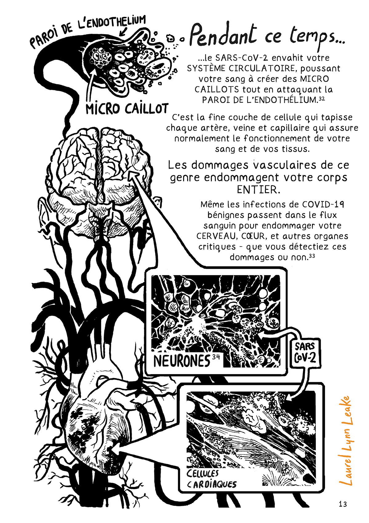 Dans une écriture à la main stylisée: « Pendant ce temps… » et le texte continue « …le SARS-CoV-2 envahit votre SYSTÈME CIRCULATOIRE, poussant votre sang à créer des MICRO CAILLOTS tout en attaquant la PAROI DE L’ENDOTHÉLIUM (32). C’est la fine couche de cellule qui tapisse chaque artère, veine et capillaire qui assure normalement le fonctionnement de votre sang et de vos tissus. » A gauche, on voit du sang et des petites particules de SARS-CoV-2 projetées, avec un groupe de cellule marqué « micro caillot ». La veine est connectée à un cerveau puis s'épaissit en s’approchant d'un cœur. Un gros texte indique : « Les dommages vasculaires de ce genre endommagent votre corps ENTIER. » Texte normal : « Même les infections de COVID-19 bénignes passent dans le flux sanguin pour endommager votre CERVEAU, CŒUR, et autres organes critiques - que vous détectiez ces dommages ou non (33). » Une flèche partant du cerveau montre des neurones filiformes couverts de petits cercles indiqués SARS-CoV-2, et une autre flèche partant du cœur montre des formes fibreuses étirées couvertes d'autres petits cercles.